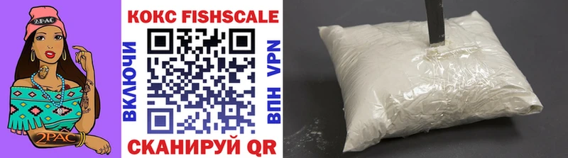 купить   МЕГА вход  COCAIN Fish Scale  Усолье 