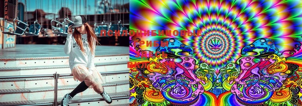 ECSTASY Абинск