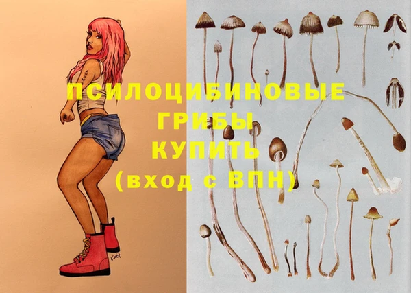 прущая мука Абдулино