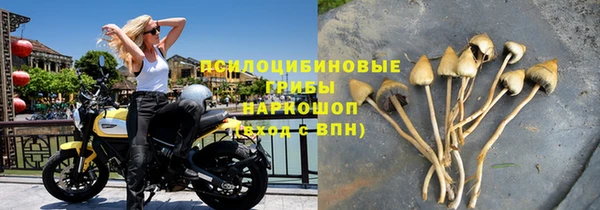 прущая мука Абдулино
